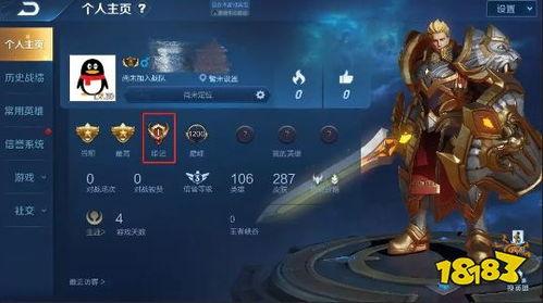 王者体验服最新爆料游戏,神秘英雄登场,战局再掀风云!